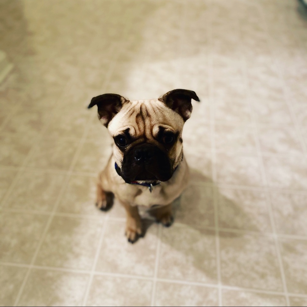 Meet your Posher, Lauren